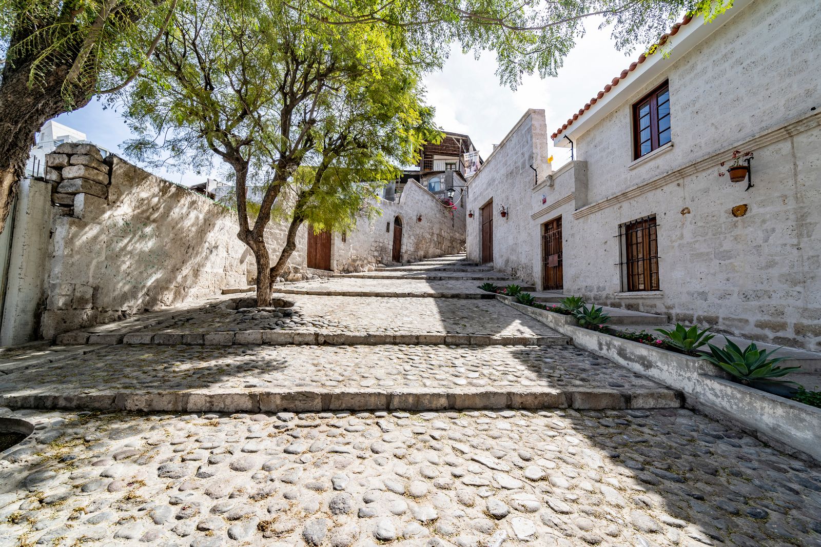 Callejón empedrado entre muros blancos